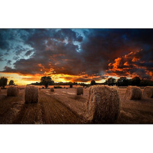 Monitor Profesional Videowall