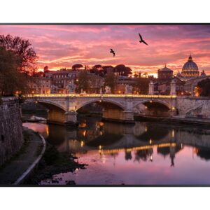 Pantalla Profesional